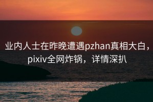 业内人士在昨晚遭遇pzhan真相大白，pixiv全网炸锅，详情深扒