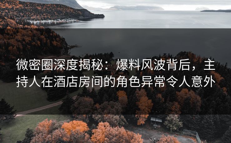 微密圈深度揭秘：爆料风波背后，主持人在酒店房间的角色异常令人意外