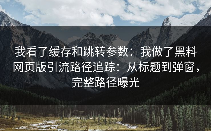 我看了缓存和跳转参数:我做了黑料网页版引流路径追踪:从标题到弹窗,完整路径曝光 我看了缓存和跳转参数:我做了黑料网页版引流路径追踪:从标题到弹窗,完整路径曝光