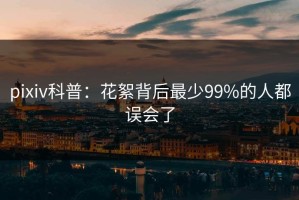 pixiv科普：花絮背后最少99%的人都误会了