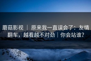 蘑菇影视 ｜ 原来我一直误会了：友情翻车，越看越不对劲｜你会站谁？