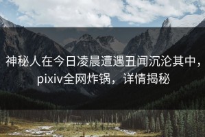 神秘人在今日凌晨遭遇丑闻沉沦其中，pixiv全网炸锅，详情揭秘