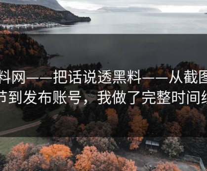 黑料网——把话说透黑料——从截图细节到发布账号，我做了完整时间线
