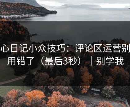 糖心日记小众技巧：评论区运营别再用错了（最后3秒）｜别学我