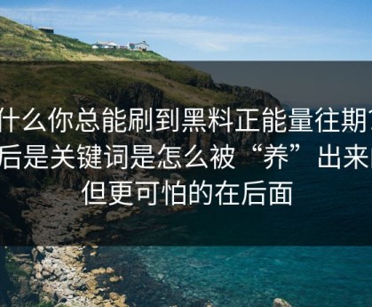为什么你总能刷到黑料正能量往期? · 背后是关键词是怎么被“养”出来的，但更可怕的在后面
