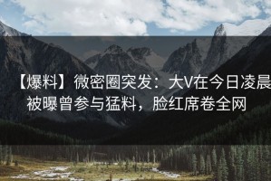 【爆料】微密圈突发：大V在今日凌晨被曝曾参与猛料，脸红席卷全网