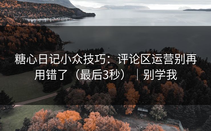 糖心日记小众技巧：评论区运营别再用错了（最后3秒）｜别学我